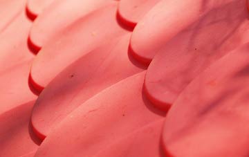 Wrangle Low Ground plastic roof costs