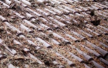 Wrangle Low Ground roof cleaning companies